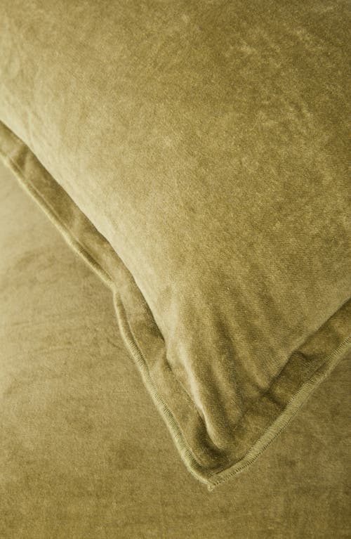 Shop Nordstrom Velveteen Accent Pillow In Olive Sphagnum