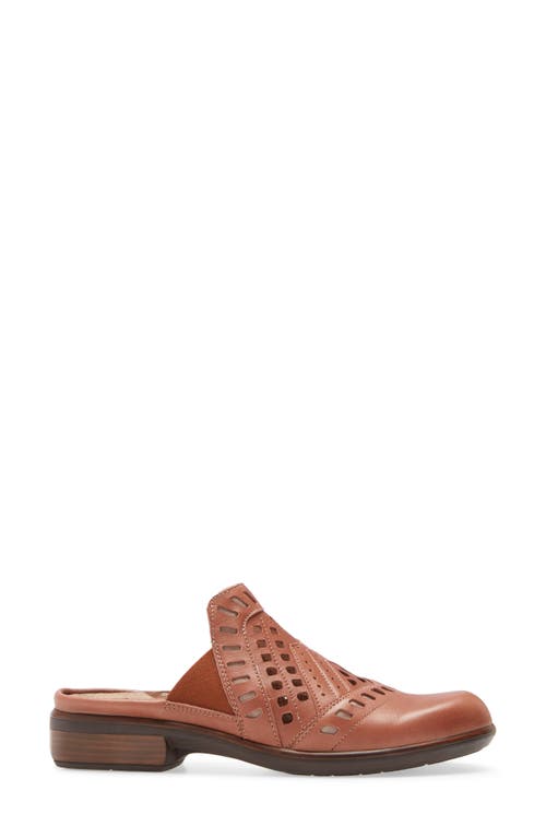 Shop Naot Shakira Mule In Mocha Rose/stone Leather