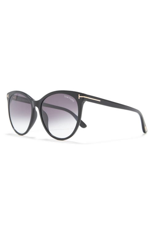 TOM FORD TOM FORD MAXIM 59MM OVERSIZED ROUND SUNGLASSES