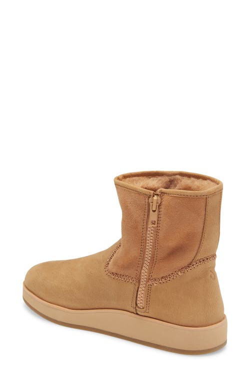 Shop Olukai Paina Hulu Waterproof Genuine Shearling Lined Boot In Tan/tan