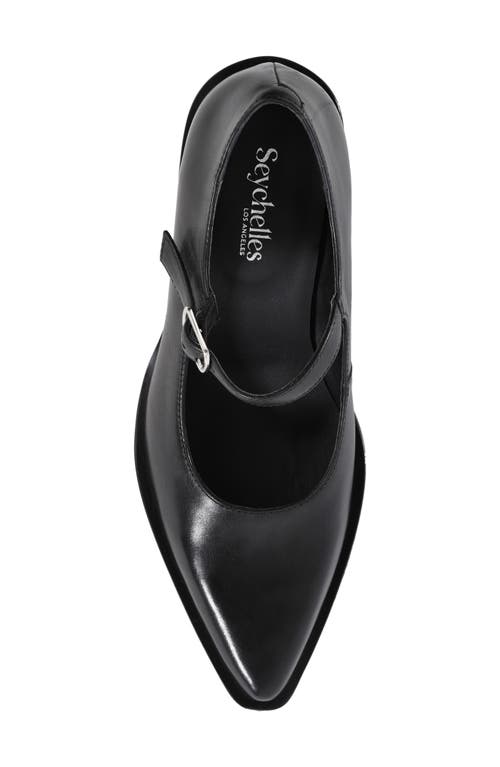 SEYCHELLES SEYCHELLES SPARKS POINTED TOE MARY JANE PUMP