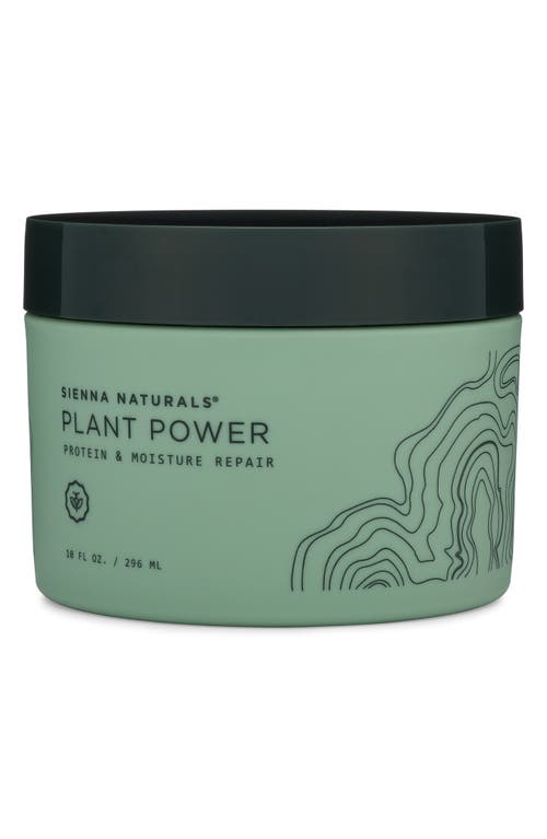 Plant Power Protein & Moisture Repair Hair Mask