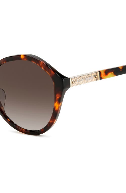 Kate Spade New York Jezebel 54mm Gradient Round Sunglasses In Havana/brown Gradient