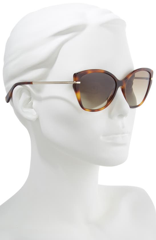 Shop Longchamp Heritage 57mm Butterfly Sunglasses In Havana