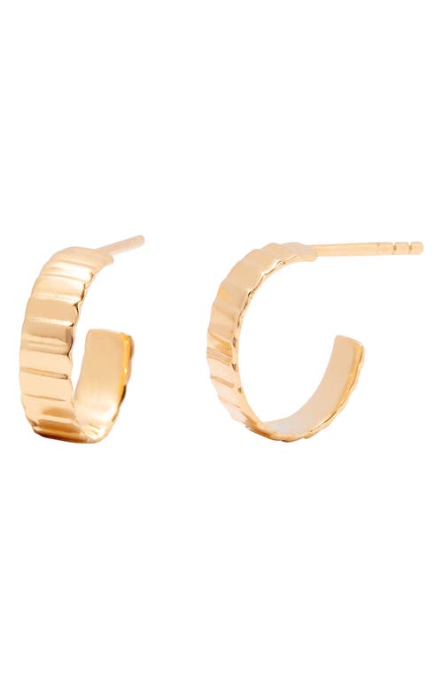Natalie Hoop Earrings in Gold