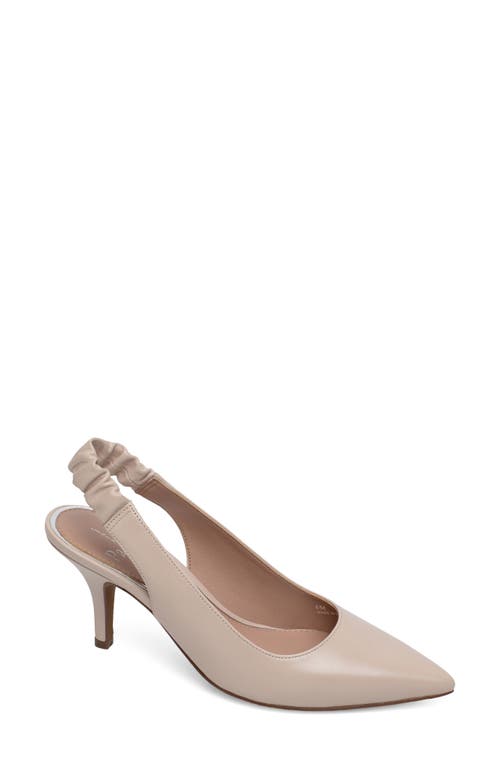 Linea Paolo Ciana Slingback Pointed Toe Pump in Blush Pink