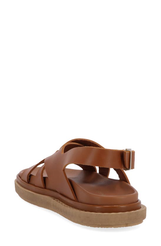 Shop Alohas Trunca Strappy Slingback Sandal In Tan
