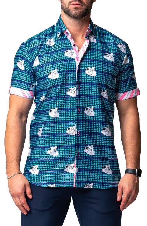 Maceoo Galileo Dog Dream Regular Fit Short Sleeve Button-Up Shirt Blue at Nordstrom,