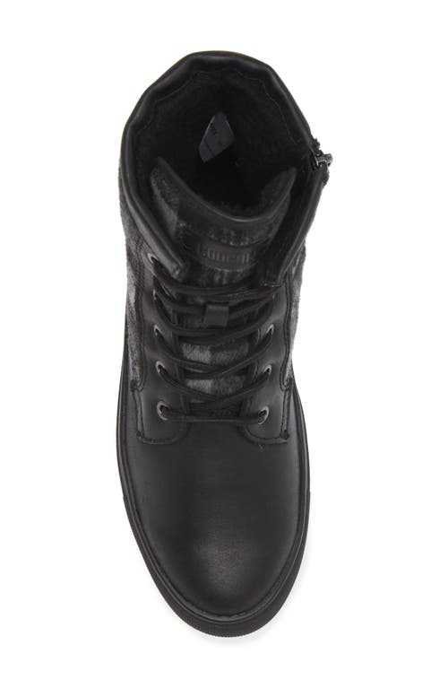 Cougar Apex Lace-up Boot In Black