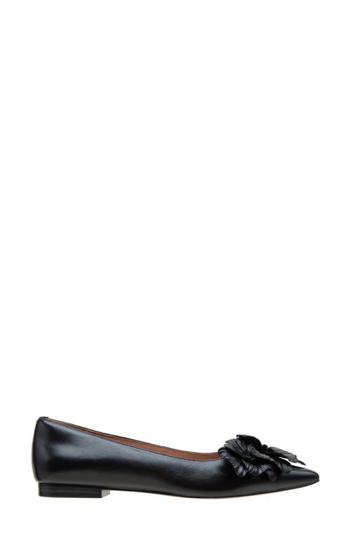 Shop Linea Paolo Nerine Pointed Toe Flat In Black