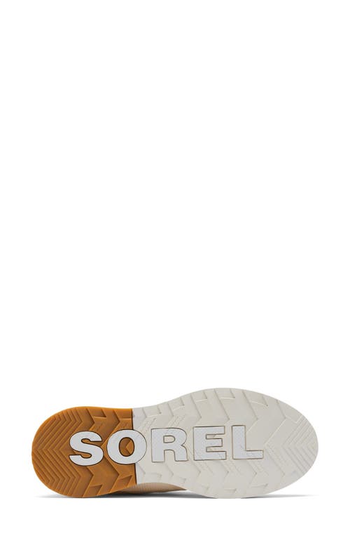 Sorel Out N About Waterproof Low Top Sneaker In Sea Salt/chalk