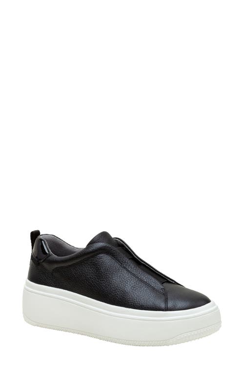 Shop Linea Paolo Golde Platform Sneaker In Black