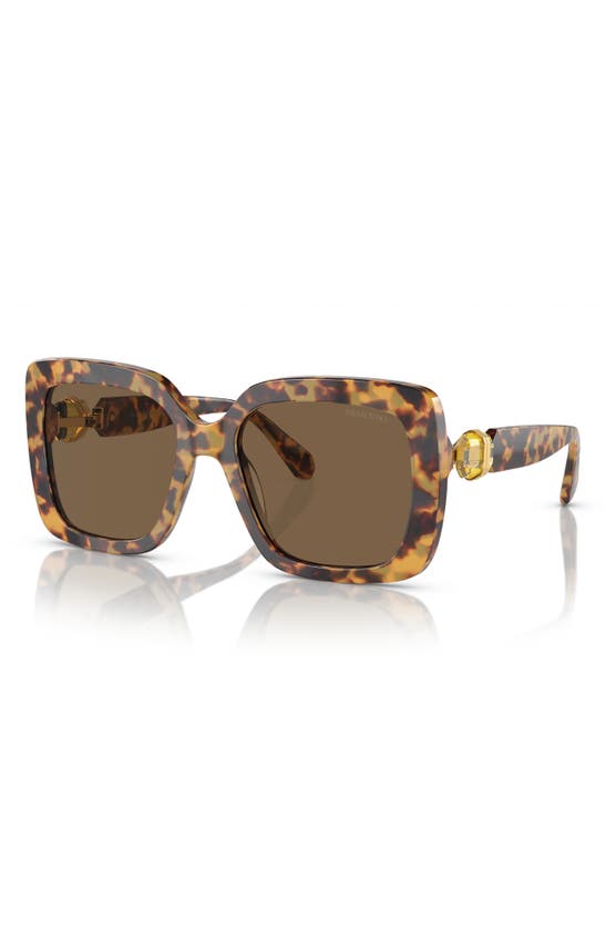 Swarovski 55mm Square Sunglasses In Lite Havana