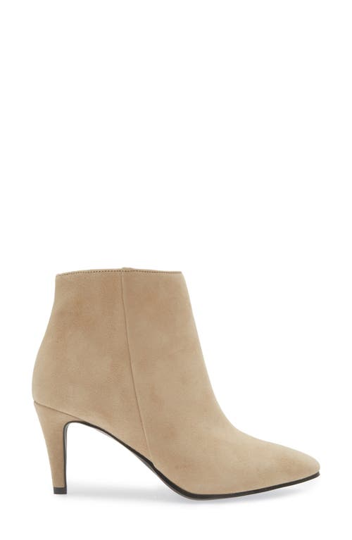 Cordani Nadia Bootie In Creta Suede