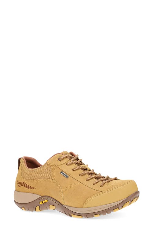 Shop Dansko Paisley Waterproof Sneaker In Wheat