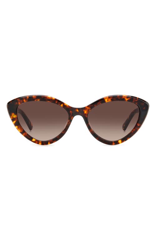 Kate Spade New York junigs 55mm gradient cat eye sunglasses in Havana/Brown Gradient at Nordstrom
