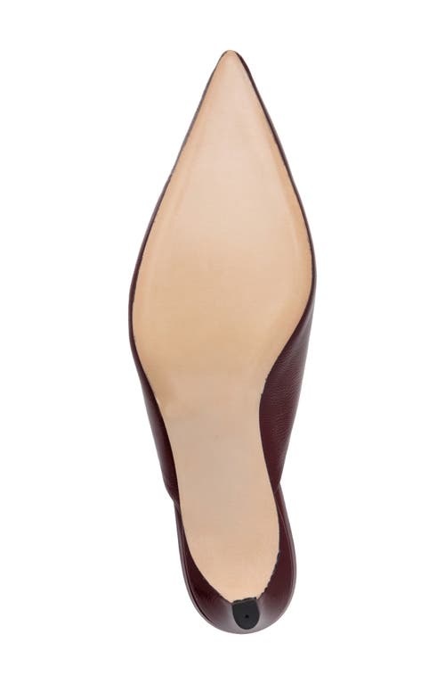 Beautiisoles Gal Pointed Toe Kitten Heel Mule In Burgundy