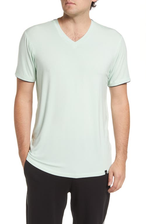 Men's The Bedfellow Sleep T-Shirt in Mint