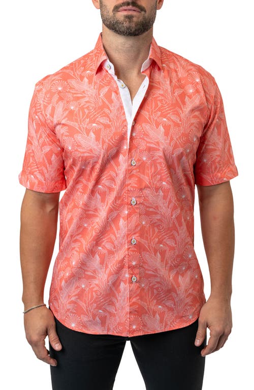 Maceoo Galileo Leaf 45 Orange Contemporary Fit Short Sleeve Button-Up Shirt 