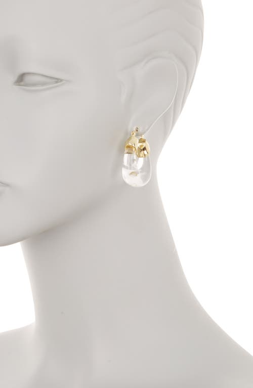 Eye Candy Los Angeles Alora Acrylic Hoop Earrings In Gold