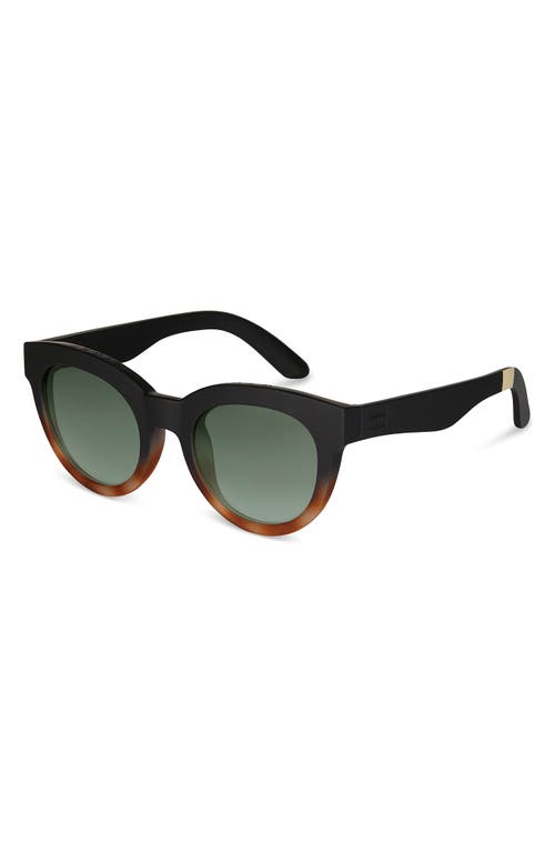 Toms Florentin 52mm Cat Eye Sunglasses In Brown Multi