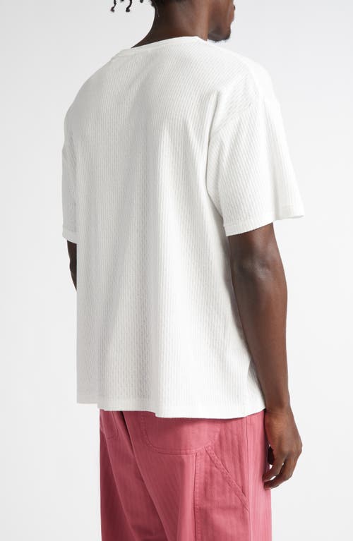 Bode Kennedy Lake-print T-shirt In Cream