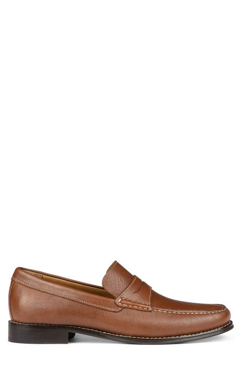 Donald Pliner Leather Penny Loafer In Whiskey