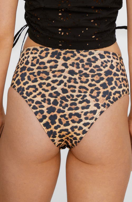 Shop Nasty Gal Knicker Shorts In Leopard