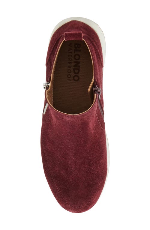 Shop Blondo Ellorie Waterproof Wedge Sneaker In Wine Suede