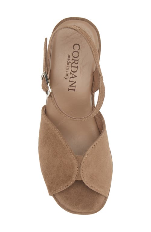 Cordani Jenna Platform Wedge Sandal In Crosta Fango