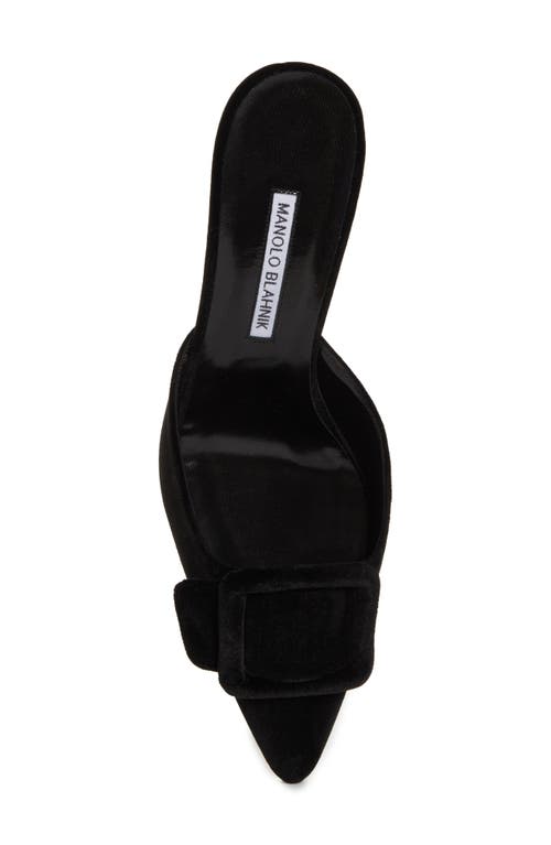 Manolo Blahnik 50mm Maysale Velvet Mules In Black