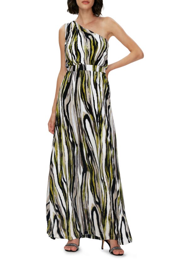 Shop Diane Von Furstenberg Kiera Zebra Stripe One-shoulder Maxi Dress In Zebra Mist