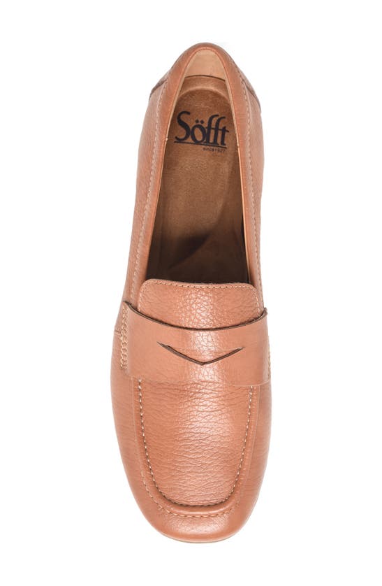 Shop Söfft Allie Moc Toe Penny Loafer In Luggage