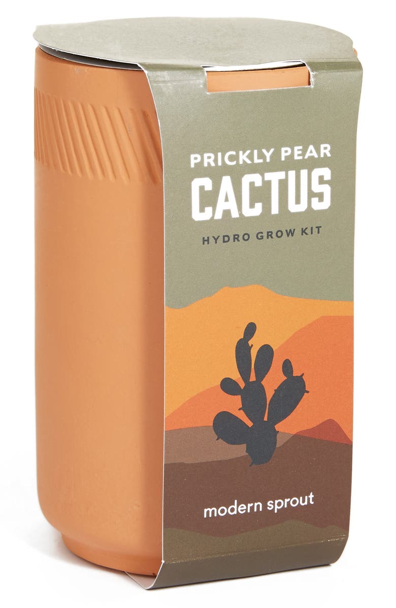 Modern Sprout Prickly Pear Cactus Terracotta Grow Kit Nordstrom