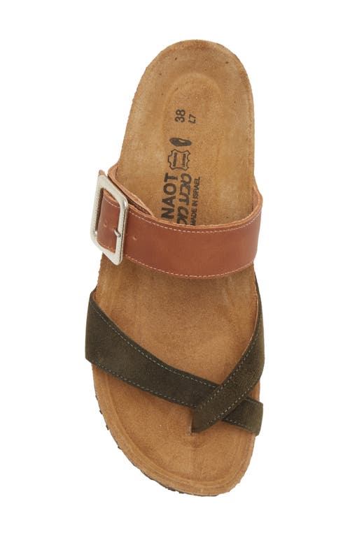 Shop Naot Fresno Slide Sandal In Latte Brown/oily Olive