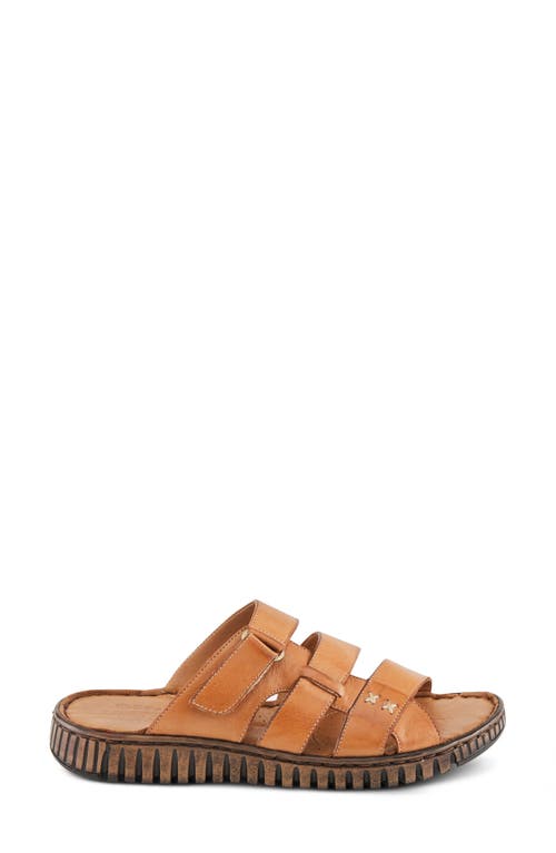 Shop Spring Step Olly Slide Sandal In Camel