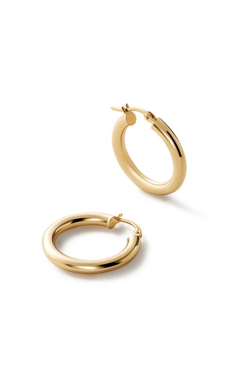 Shop Ana Luisa Chunky Gold Hoop Earrings