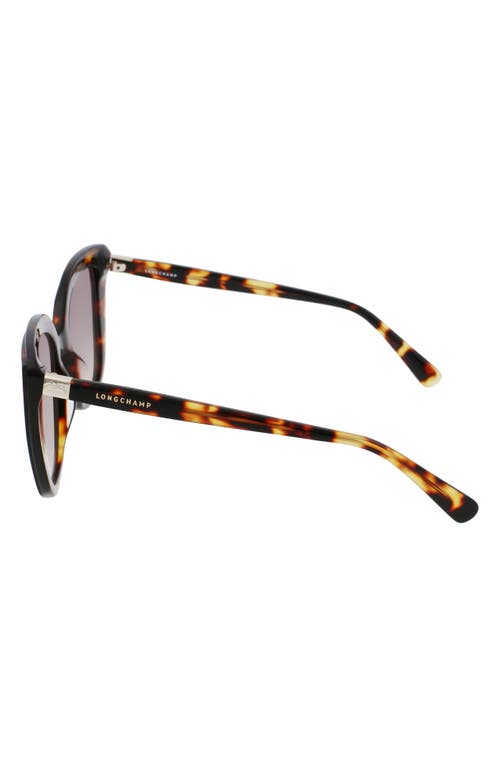 Longchamp Le Pliage 53mm Gradient Rectangular Sunglasses In Dark Havana/brown