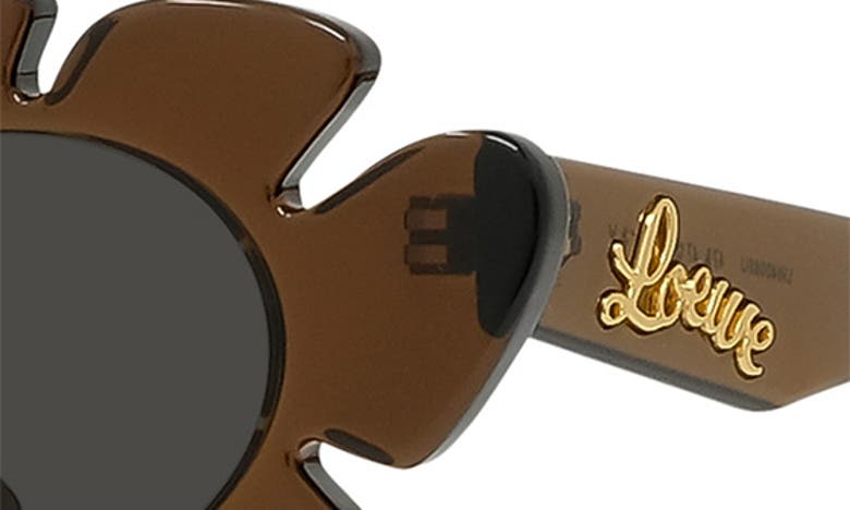 Shop Loewe X Paula's Ibiza 47mm Cat Eye Sunglasses In Light Brown/ Other / Smoke