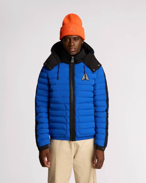 Shop Alpenhaus Uriage Lightweight Bomber Puffer With Removable Hood In Cobalt