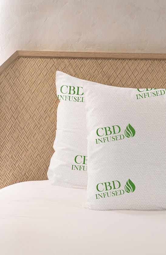 Luxury Home 2-pack Infused Memory Foam Pillows In Cbd