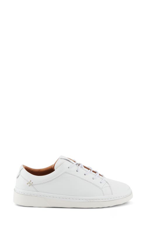 Shop Spring Step Picasa Sneaker In White