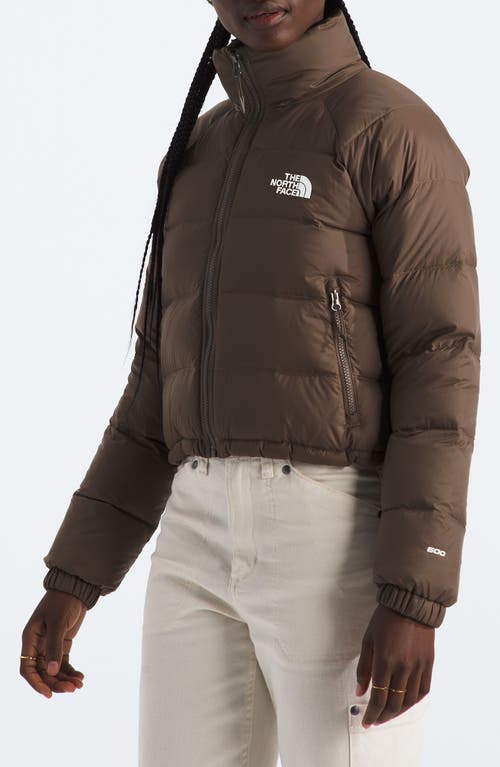 Shop The North Face Hydrenalite™ 600 Fill Power Down Water Repellent Jacket In Smokey Brown