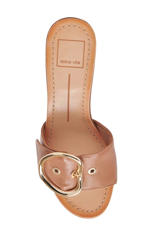 Dolce Vita Laika Slide Sandal In Cider Leather