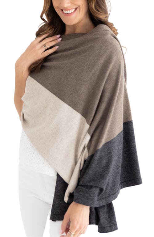 The Dreamsoft Travel Scarf in Brownstone Colorblock