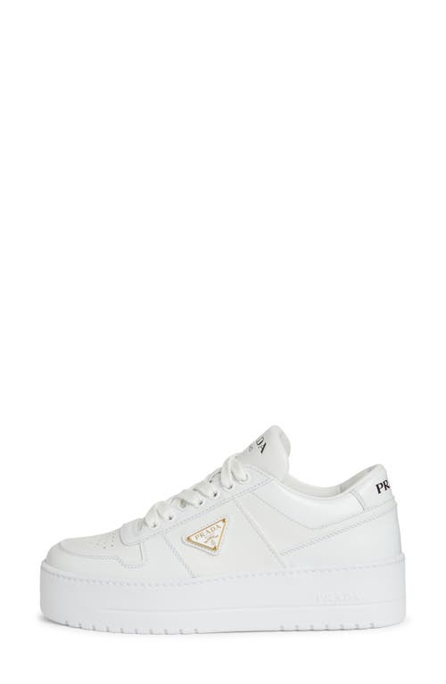 Shop Prada Flatform Downtown Logo Platform Sneaker In Bianco