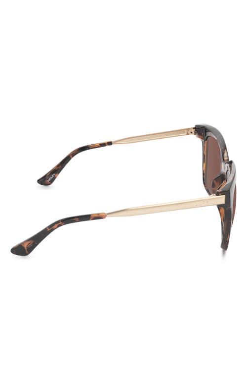 Shop Diff 54mm Hailey Square Sunglasses In Tortoise