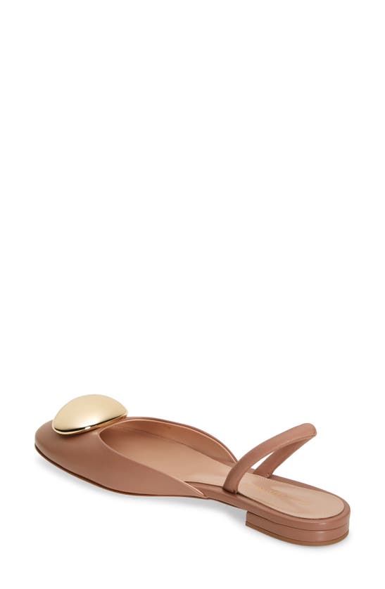 Shop Gianvito Rossi Dome Slingback Flat In Praline