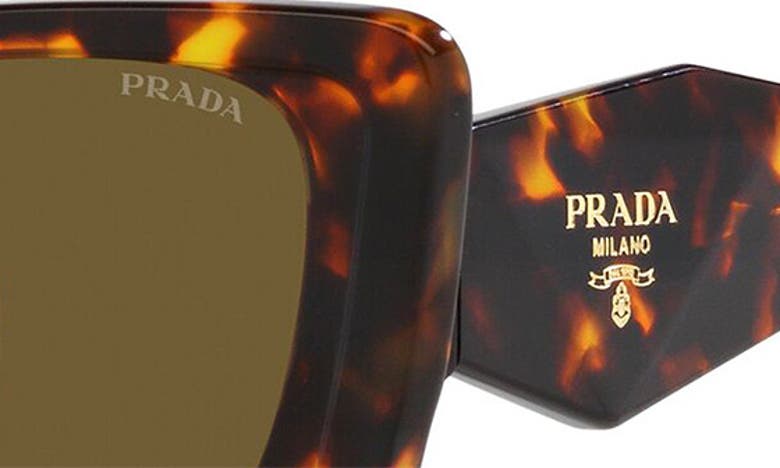 Prada 51mm Butterfly Sunglasses In Brown | ModeSens