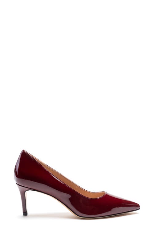 Shop Bruno Magli Tara Pointed Toe Pump In Bordeaux Patent